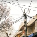 윤안경원 이미지