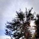 선단동주민자치센터 이미지