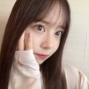 리레포