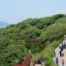장사도해상공원 Daum카페