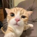 어쭈구리 이미지