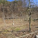 녹전면 행정복지센터 이미지