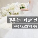 새로이여행사 - 부천시 소사구 | [웨딩꿀팁] 결혼준비 타임라인 | 본격 준비부터 본식까지 7개월간의 기록 (현실 웨딩 개월별 순서 총정리)