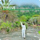 원브런치카페 이미지