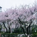 수양부산 티스토리