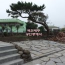 벽전 이미지