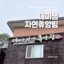 데미샘자연휴양림 | 전북 가볼만한 곳 진안 숙소 추천 섬진강 발원지 데미샘자연휴양림 후기