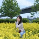 닭꼬치피었습니다 | 서울 근교 봄나들이 추천💛 구리 유채꽃 축제 다녀온 감성 후기