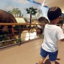 창조자연사박물관 이미지