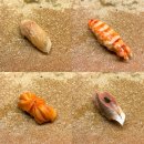 연동바다장어 | 도쿄 미슐랭 1스타 문경환 셰프님의 오마카세 &lt;스시야쇼타&gt; 디너 후기