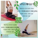 나이스데이요가