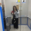 팔공펜션 1945 | 언더윙스와 함께한 대구(군위)여행