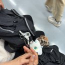 세가지소원의원 | 남산 가볼만한곳 충정사 세가지 소원 이루어지는 도심 사찰 후기
