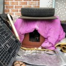 디테일링홍