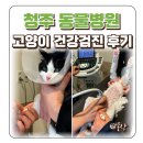 청주 동물병원 추천 두근동물병원 고양이 건강검진 비용 주기 후기