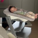 스토케 트립트랩 해외직구 후기,신생아부터 16개월 아기 트리트랩 장단점