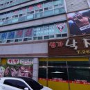 팀라이거복싱 이미지