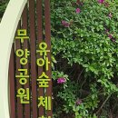 무양공원 유아숲체험원 이미지