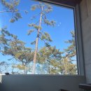 여여담2 이미지