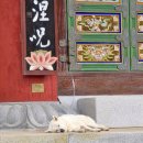 도갑사 성보박물관 이미지