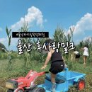 울산 아이랑 가볼만한곳 환희목장 후사랑밀크 목장체험 먹이주기 피자만들기 놀이시설 수영장