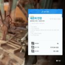엘레강스PC | PS5 스텔라 블레이드 승리의여신 니케 DLC 업데이트