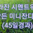 Creeping Bentgrass 조건무료나눔 이미지