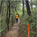 대부해솔길 2코스 | 아름다운 길, 안산 제2경 대부해솔길 1코스를 걷다.