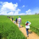 청신농장 이미지