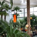 핑크 베이커리 | 용인 자작나무숲 핑크뮬리 가을꽃축제, 대형 베이커리카페 베툴라 솔직후기