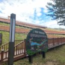 의림지솔밭가든 이미지