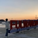 더위캔 네이버블로그