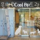 쿨펫동물병원 광교이마트점 | 수원 이의동 동물병원 쿨펫동물병원 이마트광교점 위치 오는길 후기