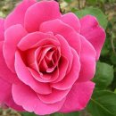 두성농장 이미지