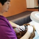 구미수한의원 이미지