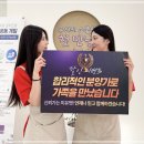 몽냥몽냥 강아지분양 고양이분양 송파점 | 용산강아지분양 솔직한 후기