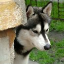 우리종합 동물병원 이미지