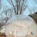 알프스마을민박 | 아이부터 어른까지 난리난 이유… 청양 알프스마을 축제, 진짜 갈만할까?