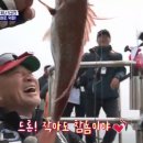 도시어부 서울경제