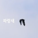 탐조책방 이미지
