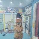 금메달 태권도 교육관 이미지