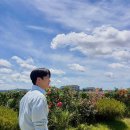 하석진 카카오 검색결과
