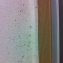 피톤바이오 이미지