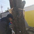 느티나무주유소 이미지