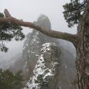 청량산의 봄 이미지