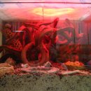 대청세탁소 이미지