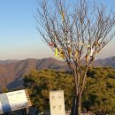 선유3리 이미지