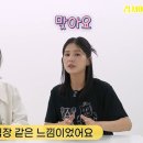 기쁨조
