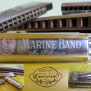 도곡로62길 이미지