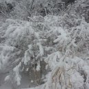 골짜기농장 이미지